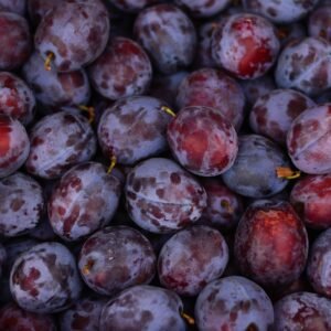 Local Harvest Product 12